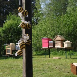 Cours d'apiculture au rucher-école de Harre